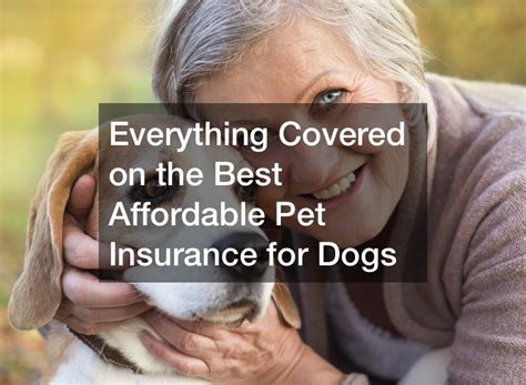 The Best Pet Insurance for Older Dogs .